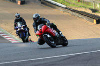 brands-hatch-photographs;brands-no-limits-trackday;cadwell-trackday-photographs;enduro-digital-images;event-digital-images;eventdigitalimages;no-limits-trackdays;peter-wileman-photography;racing-digital-images;trackday-digital-images;trackday-photos