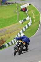 Novice Blue/White Bikes