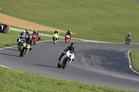 brands-hatch-photographs;brands-no-limits-trackday;cadwell-trackday-photographs;enduro-digital-images;event-digital-images;eventdigitalimages;no-limits-trackdays;peter-wileman-photography;racing-digital-images;trackday-digital-images;trackday-photos