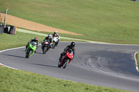 brands-hatch-photographs;brands-no-limits-trackday;cadwell-trackday-photographs;enduro-digital-images;event-digital-images;eventdigitalimages;no-limits-trackdays;peter-wileman-photography;racing-digital-images;trackday-digital-images;trackday-photos