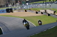 brands-hatch-photographs;brands-no-limits-trackday;cadwell-trackday-photographs;enduro-digital-images;event-digital-images;eventdigitalimages;no-limits-trackdays;peter-wileman-photography;racing-digital-images;trackday-digital-images;trackday-photos