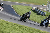 brands-hatch-photographs;brands-no-limits-trackday;cadwell-trackday-photographs;enduro-digital-images;event-digital-images;eventdigitalimages;no-limits-trackdays;peter-wileman-photography;racing-digital-images;trackday-digital-images;trackday-photos