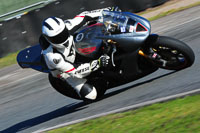 enduro-digital-images;event-digital-images;eventdigitalimages;no-limits-trackdays;oulton-no-limits-trackday;oulton-park-cheshire;oulton-trackday-photographs;peter-wileman-photography;racing-digital-images;trackday-digital-images;trackday-photos