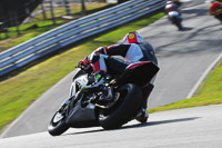 enduro-digital-images;event-digital-images;eventdigitalimages;no-limits-trackdays;oulton-no-limits-trackday;oulton-park-cheshire;oulton-trackday-photographs;peter-wileman-photography;racing-digital-images;trackday-digital-images;trackday-photos