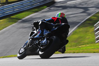 enduro-digital-images;event-digital-images;eventdigitalimages;no-limits-trackdays;oulton-no-limits-trackday;oulton-park-cheshire;oulton-trackday-photographs;peter-wileman-photography;racing-digital-images;trackday-digital-images;trackday-photos