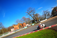 enduro-digital-images;event-digital-images;eventdigitalimages;no-limits-trackdays;oulton-no-limits-trackday;oulton-park-cheshire;oulton-trackday-photographs;peter-wileman-photography;racing-digital-images;trackday-digital-images;trackday-photos