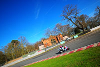 enduro-digital-images;event-digital-images;eventdigitalimages;no-limits-trackdays;oulton-no-limits-trackday;oulton-park-cheshire;oulton-trackday-photographs;peter-wileman-photography;racing-digital-images;trackday-digital-images;trackday-photos