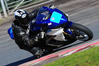enduro-digital-images;event-digital-images;eventdigitalimages;no-limits-trackdays;oulton-no-limits-trackday;oulton-park-cheshire;oulton-trackday-photographs;peter-wileman-photography;racing-digital-images;trackday-digital-images;trackday-photos