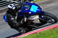 enduro-digital-images;event-digital-images;eventdigitalimages;no-limits-trackdays;oulton-no-limits-trackday;oulton-park-cheshire;oulton-trackday-photographs;peter-wileman-photography;racing-digital-images;trackday-digital-images;trackday-photos