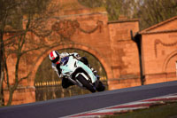 enduro-digital-images;event-digital-images;eventdigitalimages;no-limits-trackdays;oulton-no-limits-trackday;oulton-park-cheshire;oulton-trackday-photographs;peter-wileman-photography;racing-digital-images;trackday-digital-images;trackday-photos