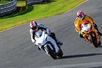 enduro-digital-images;event-digital-images;eventdigitalimages;no-limits-trackdays;oulton-no-limits-trackday;oulton-park-cheshire;oulton-trackday-photographs;peter-wileman-photography;racing-digital-images;trackday-digital-images;trackday-photos