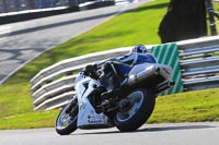 enduro-digital-images;event-digital-images;eventdigitalimages;no-limits-trackdays;oulton-no-limits-trackday;oulton-park-cheshire;oulton-trackday-photographs;peter-wileman-photography;racing-digital-images;trackday-digital-images;trackday-photos