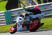 enduro-digital-images;event-digital-images;eventdigitalimages;no-limits-trackdays;oulton-no-limits-trackday;oulton-park-cheshire;oulton-trackday-photographs;peter-wileman-photography;racing-digital-images;trackday-digital-images;trackday-photos