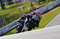 enduro-digital-images;event-digital-images;eventdigitalimages;no-limits-trackdays;oulton-no-limits-trackday;oulton-park-cheshire;oulton-trackday-photographs;peter-wileman-photography;racing-digital-images;trackday-digital-images;trackday-photos