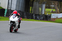 enduro-digital-images;event-digital-images;eventdigitalimages;no-limits-trackdays;oulton-no-limits-trackday;oulton-park-cheshire;oulton-trackday-photographs;peter-wileman-photography;racing-digital-images;trackday-digital-images;trackday-photos