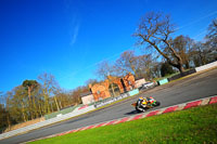 enduro-digital-images;event-digital-images;eventdigitalimages;no-limits-trackdays;oulton-no-limits-trackday;oulton-park-cheshire;oulton-trackday-photographs;peter-wileman-photography;racing-digital-images;trackday-digital-images;trackday-photos