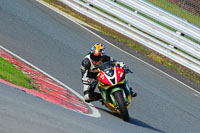 enduro-digital-images;event-digital-images;eventdigitalimages;no-limits-trackdays;oulton-no-limits-trackday;oulton-park-cheshire;oulton-trackday-photographs;peter-wileman-photography;racing-digital-images;trackday-digital-images;trackday-photos