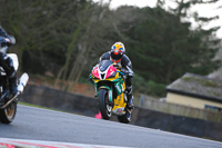 enduro-digital-images;event-digital-images;eventdigitalimages;no-limits-trackdays;oulton-no-limits-trackday;oulton-park-cheshire;oulton-trackday-photographs;peter-wileman-photography;racing-digital-images;trackday-digital-images;trackday-photos