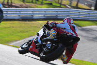 enduro-digital-images;event-digital-images;eventdigitalimages;no-limits-trackdays;oulton-no-limits-trackday;oulton-park-cheshire;oulton-trackday-photographs;peter-wileman-photography;racing-digital-images;trackday-digital-images;trackday-photos
