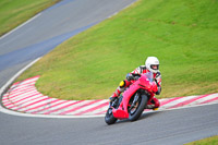 enduro-digital-images;event-digital-images;eventdigitalimages;no-limits-trackdays;oulton-no-limits-trackday;oulton-park-cheshire;oulton-trackday-photographs;peter-wileman-photography;racing-digital-images;trackday-digital-images;trackday-photos