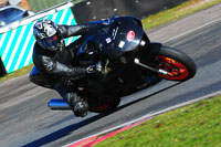 enduro-digital-images;event-digital-images;eventdigitalimages;no-limits-trackdays;oulton-no-limits-trackday;oulton-park-cheshire;oulton-trackday-photographs;peter-wileman-photography;racing-digital-images;trackday-digital-images;trackday-photos