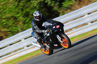 enduro-digital-images;event-digital-images;eventdigitalimages;no-limits-trackdays;oulton-no-limits-trackday;oulton-park-cheshire;oulton-trackday-photographs;peter-wileman-photography;racing-digital-images;trackday-digital-images;trackday-photos