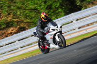 enduro-digital-images;event-digital-images;eventdigitalimages;no-limits-trackdays;oulton-no-limits-trackday;oulton-park-cheshire;oulton-trackday-photographs;peter-wileman-photography;racing-digital-images;trackday-digital-images;trackday-photos