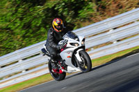 enduro-digital-images;event-digital-images;eventdigitalimages;no-limits-trackdays;oulton-no-limits-trackday;oulton-park-cheshire;oulton-trackday-photographs;peter-wileman-photography;racing-digital-images;trackday-digital-images;trackday-photos