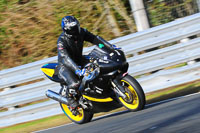 enduro-digital-images;event-digital-images;eventdigitalimages;no-limits-trackdays;oulton-no-limits-trackday;oulton-park-cheshire;oulton-trackday-photographs;peter-wileman-photography;racing-digital-images;trackday-digital-images;trackday-photos