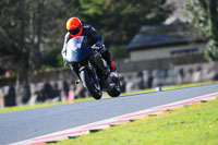 enduro-digital-images;event-digital-images;eventdigitalimages;no-limits-trackdays;oulton-no-limits-trackday;oulton-park-cheshire;oulton-trackday-photographs;peter-wileman-photography;racing-digital-images;trackday-digital-images;trackday-photos