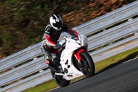 enduro-digital-images;event-digital-images;eventdigitalimages;no-limits-trackdays;oulton-no-limits-trackday;oulton-park-cheshire;oulton-trackday-photographs;peter-wileman-photography;racing-digital-images;trackday-digital-images;trackday-photos