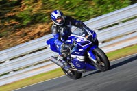 enduro-digital-images;event-digital-images;eventdigitalimages;no-limits-trackdays;oulton-no-limits-trackday;oulton-park-cheshire;oulton-trackday-photographs;peter-wileman-photography;racing-digital-images;trackday-digital-images;trackday-photos