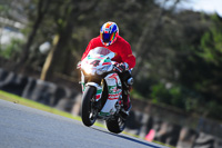 enduro-digital-images;event-digital-images;eventdigitalimages;no-limits-trackdays;oulton-no-limits-trackday;oulton-park-cheshire;oulton-trackday-photographs;peter-wileman-photography;racing-digital-images;trackday-digital-images;trackday-photos