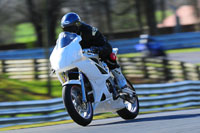 enduro-digital-images;event-digital-images;eventdigitalimages;no-limits-trackdays;oulton-no-limits-trackday;oulton-park-cheshire;oulton-trackday-photographs;peter-wileman-photography;racing-digital-images;trackday-digital-images;trackday-photos