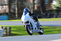 enduro-digital-images;event-digital-images;eventdigitalimages;no-limits-trackdays;oulton-no-limits-trackday;oulton-park-cheshire;oulton-trackday-photographs;peter-wileman-photography;racing-digital-images;trackday-digital-images;trackday-photos