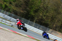 enduro-digital-images;event-digital-images;eventdigitalimages;no-limits-trackdays;oulton-no-limits-trackday;oulton-park-cheshire;oulton-trackday-photographs;peter-wileman-photography;racing-digital-images;trackday-digital-images;trackday-photos