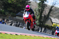 enduro-digital-images;event-digital-images;eventdigitalimages;no-limits-trackdays;oulton-no-limits-trackday;oulton-park-cheshire;oulton-trackday-photographs;peter-wileman-photography;racing-digital-images;trackday-digital-images;trackday-photos