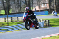 enduro-digital-images;event-digital-images;eventdigitalimages;no-limits-trackdays;oulton-no-limits-trackday;oulton-park-cheshire;oulton-trackday-photographs;peter-wileman-photography;racing-digital-images;trackday-digital-images;trackday-photos