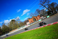 enduro-digital-images;event-digital-images;eventdigitalimages;no-limits-trackdays;oulton-no-limits-trackday;oulton-park-cheshire;oulton-trackday-photographs;peter-wileman-photography;racing-digital-images;trackday-digital-images;trackday-photos