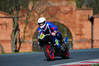 enduro-digital-images;event-digital-images;eventdigitalimages;no-limits-trackdays;oulton-no-limits-trackday;oulton-park-cheshire;oulton-trackday-photographs;peter-wileman-photography;racing-digital-images;trackday-digital-images;trackday-photos