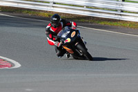 enduro-digital-images;event-digital-images;eventdigitalimages;no-limits-trackdays;oulton-no-limits-trackday;oulton-park-cheshire;oulton-trackday-photographs;peter-wileman-photography;racing-digital-images;trackday-digital-images;trackday-photos