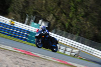 enduro-digital-images;event-digital-images;eventdigitalimages;no-limits-trackdays;oulton-no-limits-trackday;oulton-park-cheshire;oulton-trackday-photographs;peter-wileman-photography;racing-digital-images;trackday-digital-images;trackday-photos