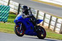 enduro-digital-images;event-digital-images;eventdigitalimages;no-limits-trackdays;oulton-no-limits-trackday;oulton-park-cheshire;oulton-trackday-photographs;peter-wileman-photography;racing-digital-images;trackday-digital-images;trackday-photos