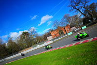 enduro-digital-images;event-digital-images;eventdigitalimages;no-limits-trackdays;oulton-no-limits-trackday;oulton-park-cheshire;oulton-trackday-photographs;peter-wileman-photography;racing-digital-images;trackday-digital-images;trackday-photos