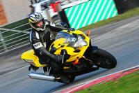 enduro-digital-images;event-digital-images;eventdigitalimages;no-limits-trackdays;oulton-no-limits-trackday;oulton-park-cheshire;oulton-trackday-photographs;peter-wileman-photography;racing-digital-images;trackday-digital-images;trackday-photos