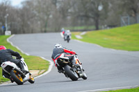 enduro-digital-images;event-digital-images;eventdigitalimages;no-limits-trackdays;oulton-no-limits-trackday;oulton-park-cheshire;oulton-trackday-photographs;peter-wileman-photography;racing-digital-images;trackday-digital-images;trackday-photos