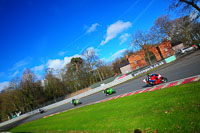 enduro-digital-images;event-digital-images;eventdigitalimages;no-limits-trackdays;oulton-no-limits-trackday;oulton-park-cheshire;oulton-trackday-photographs;peter-wileman-photography;racing-digital-images;trackday-digital-images;trackday-photos