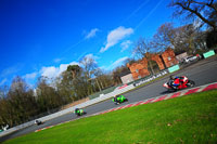 enduro-digital-images;event-digital-images;eventdigitalimages;no-limits-trackdays;oulton-no-limits-trackday;oulton-park-cheshire;oulton-trackday-photographs;peter-wileman-photography;racing-digital-images;trackday-digital-images;trackday-photos