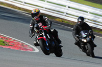 enduro-digital-images;event-digital-images;eventdigitalimages;no-limits-trackdays;oulton-no-limits-trackday;oulton-park-cheshire;oulton-trackday-photographs;peter-wileman-photography;racing-digital-images;trackday-digital-images;trackday-photos