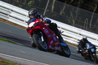 enduro-digital-images;event-digital-images;eventdigitalimages;no-limits-trackdays;oulton-no-limits-trackday;oulton-park-cheshire;oulton-trackday-photographs;peter-wileman-photography;racing-digital-images;trackday-digital-images;trackday-photos